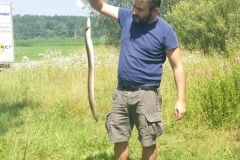 Aal mit Feederrute und Futterkorb gefangen