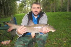 65 cm Barbe