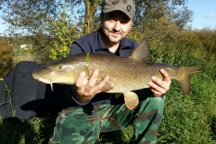 Kapitale Barbe mit 74 cm